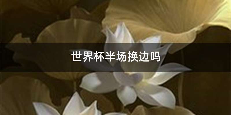 世界杯半场换边吗