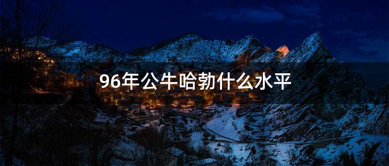 96年公牛哈勃什么水平