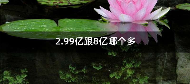 2.99亿跟8亿哪个多