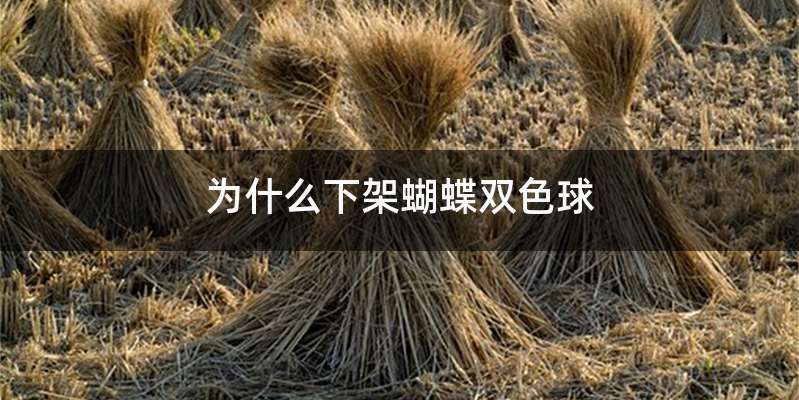 为什么下架蝴蝶双色球