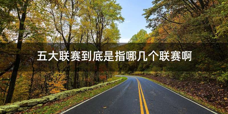 五大联赛到底是指哪几个联赛啊