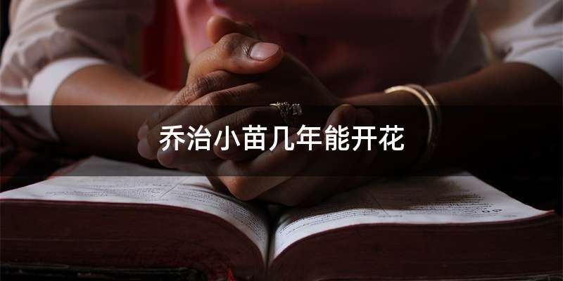 乔治小苗几年能开花