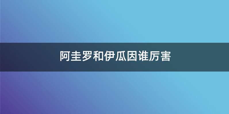 阿圭罗和伊瓜因谁厉害
