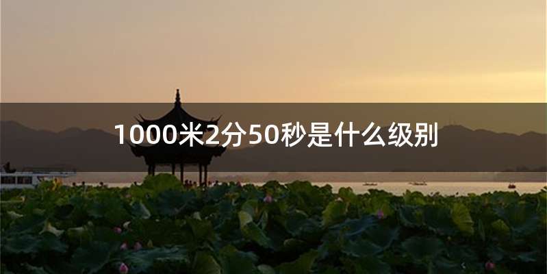 1000米2分50秒是什么级别