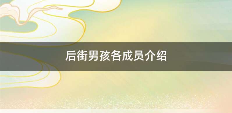 后街男孩各成员介绍