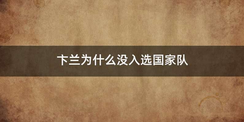 卞兰为什么没入选国家队