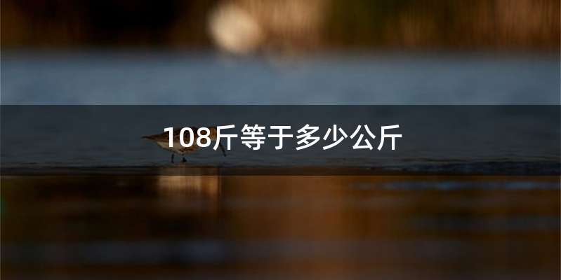 108斤等于多少公斤