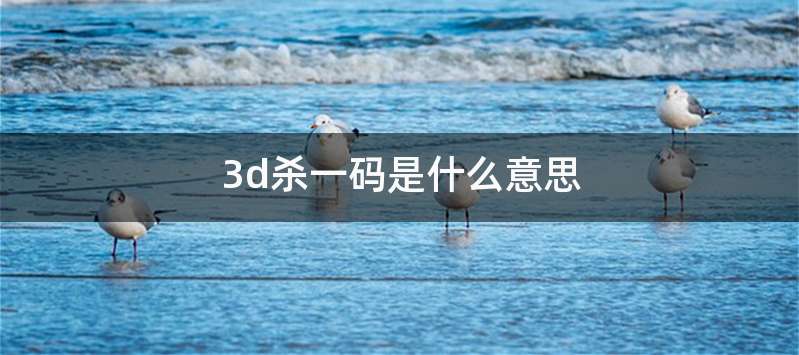 3d杀一码是什么意思