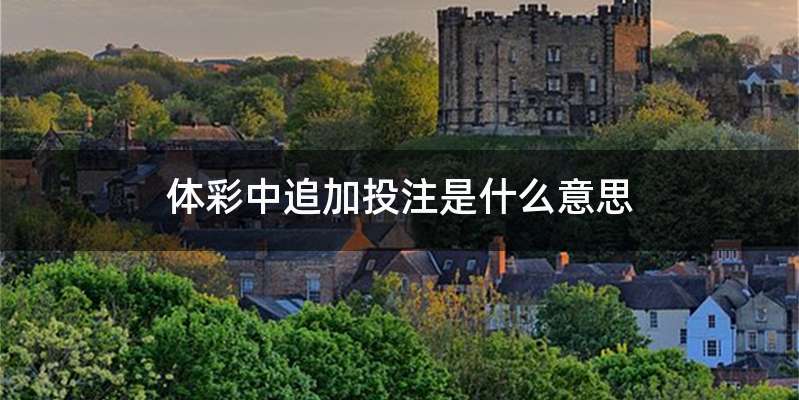 体彩中追加投注是什么意思