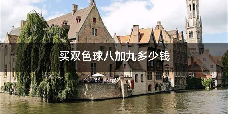 买双色球八加九多少钱
