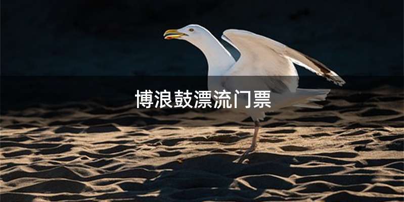 博浪鼓漂流门票