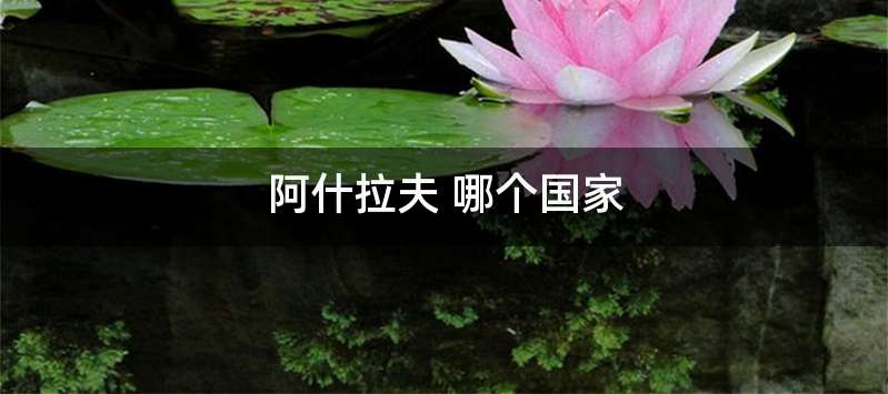 阿什拉夫 哪个国家