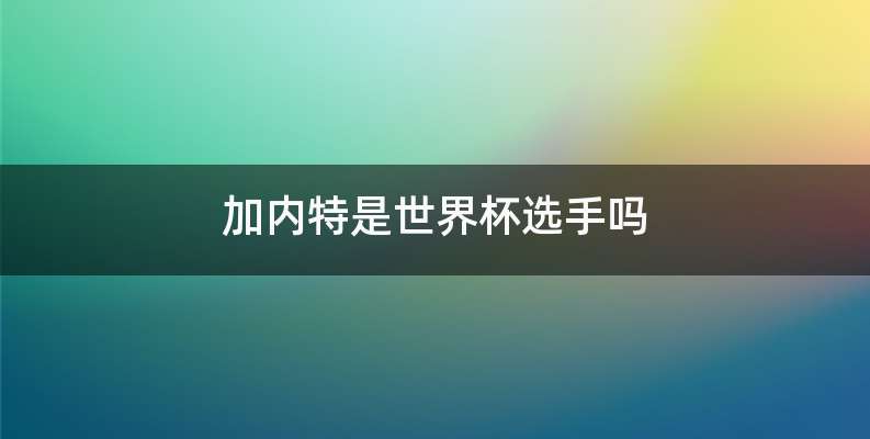 加内特是世界杯选手吗