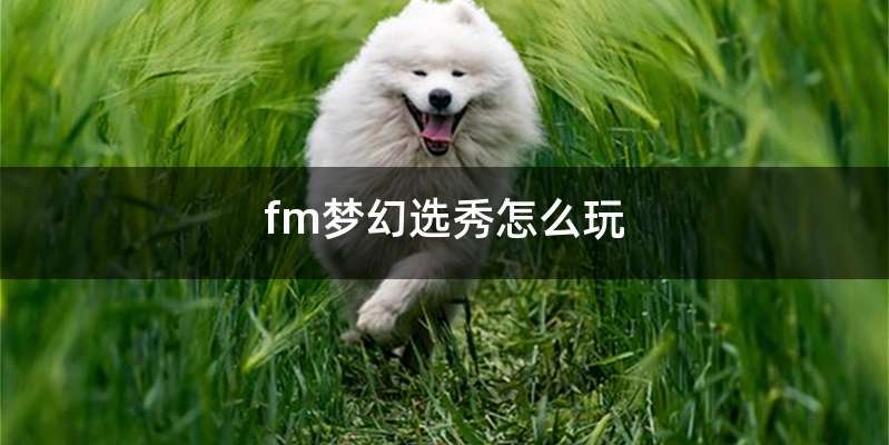 fm梦幻选秀怎么玩