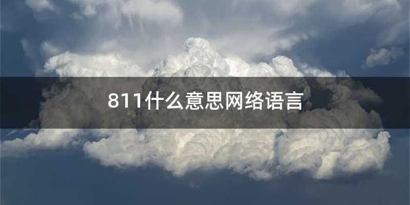 811什么意思网络语言