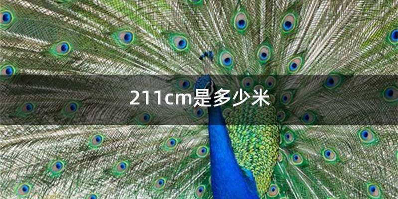 211cm是多少米