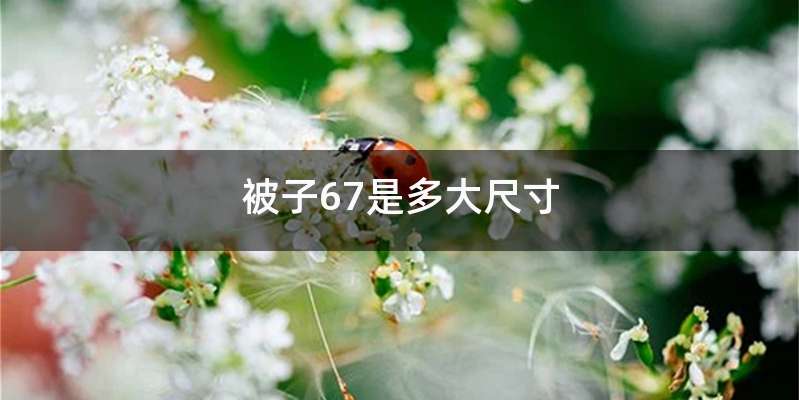 被子67是多大尺寸