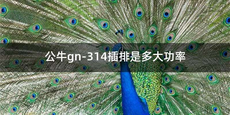 公牛gn-314插排是多大功率