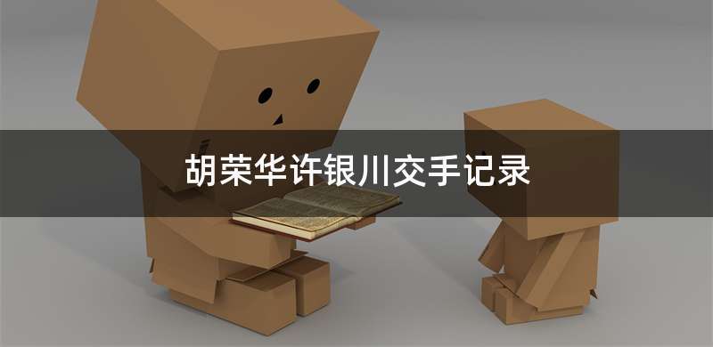 胡荣华许银川交手记录