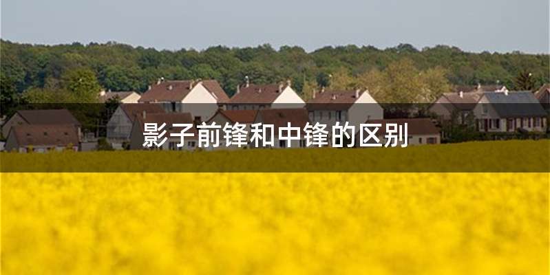 影子前锋和中锋的区别