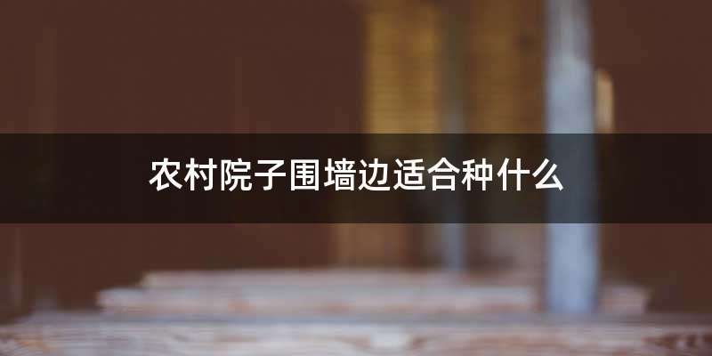 农村院子围墙边适合种什么