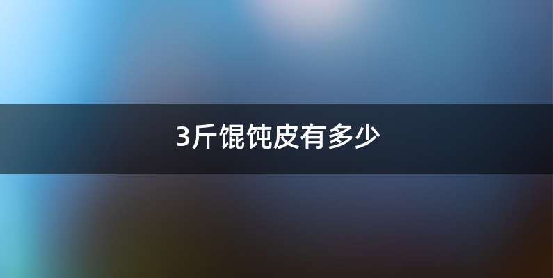 3斤馄饨皮有多少