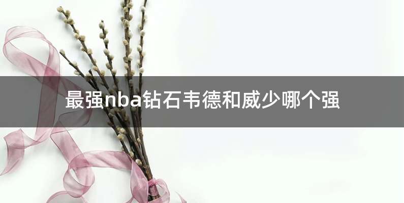 最强nba钻石韦德和威少哪个强