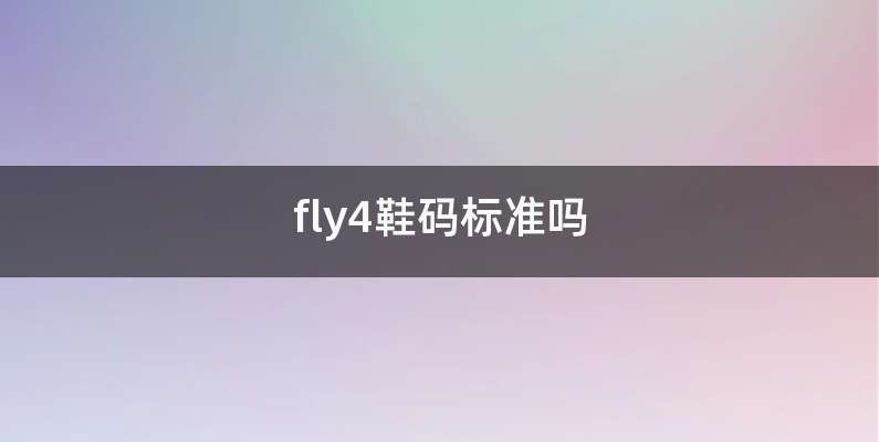 fly4鞋码标准吗