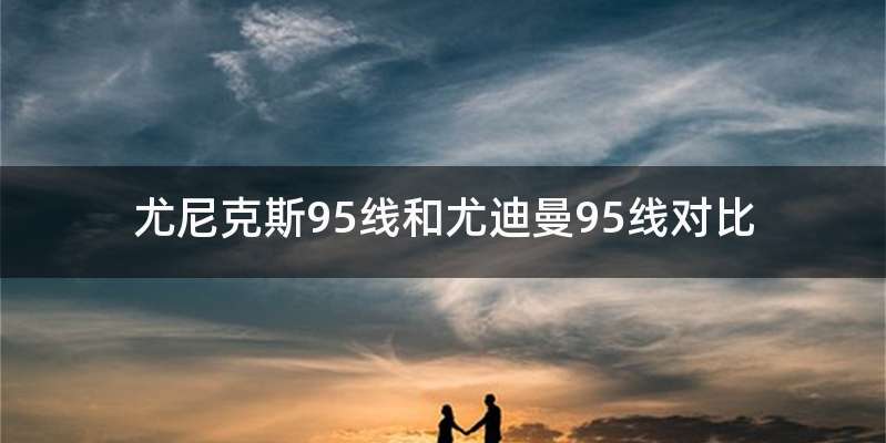 尤尼克斯95线和尤迪曼95线对比