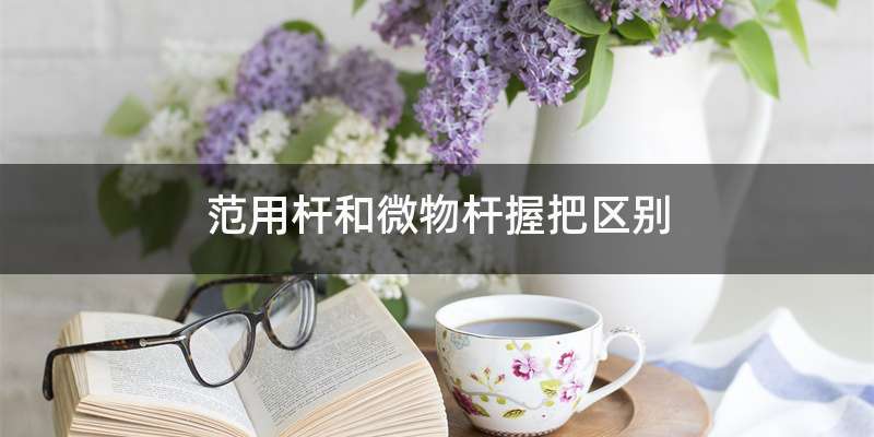 范用杆和微物杆握把区别