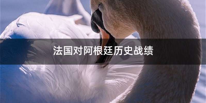 法国对阿根廷历史战绩