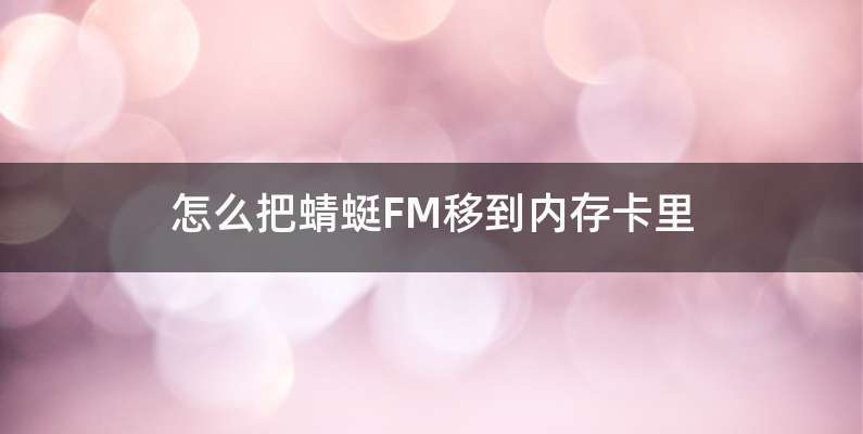 怎么把蜻蜓FM移到内存卡里