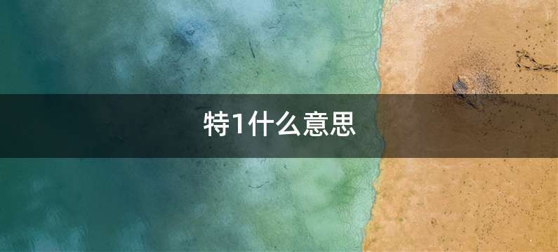 特1什么意思