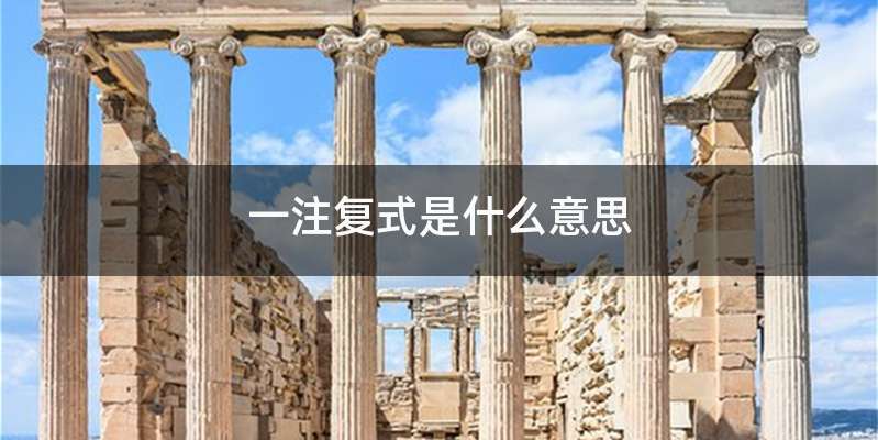 一注复式是什么意思
