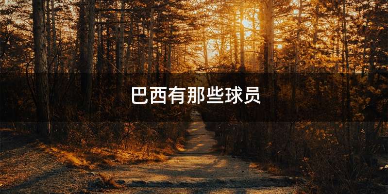 巴西有那些球员
