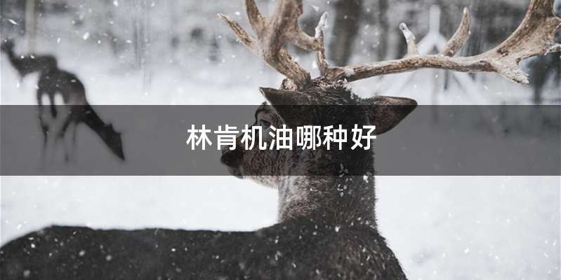 林肯机油哪种好