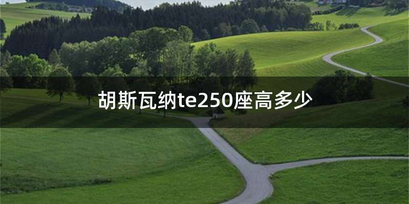 胡斯瓦纳te250座高多少