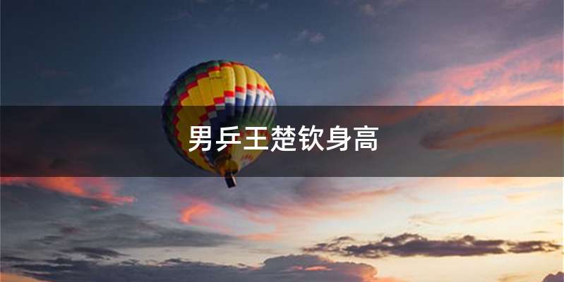 男乒王楚钦身高