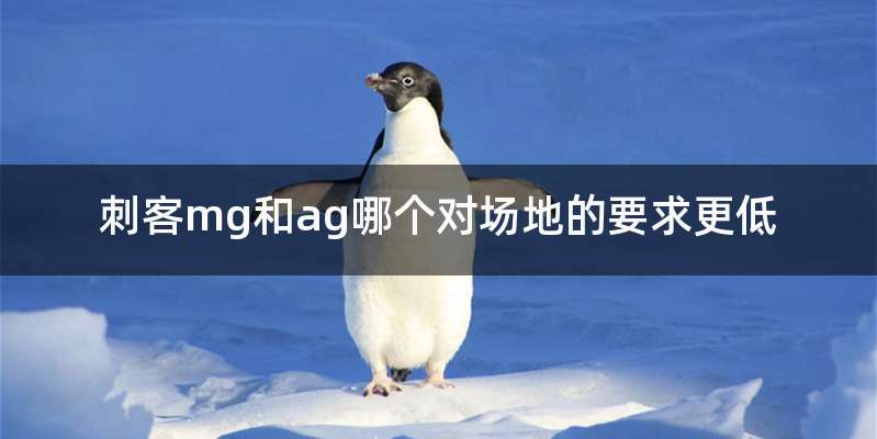 刺客mg和ag哪个对场地的要求更低