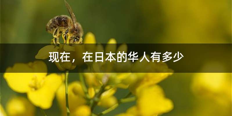现在,在日本的华人有多少