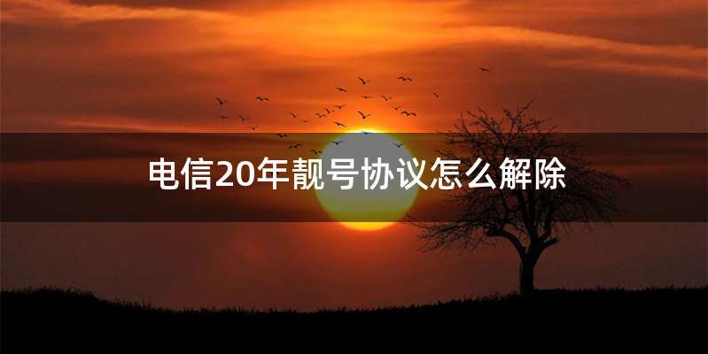 电信20年靓号协议怎么解除