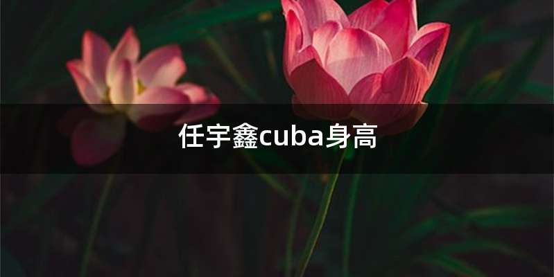 任宇鑫cuba身高