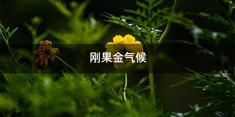 刚果金气候