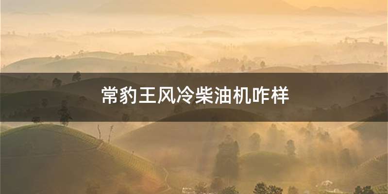 常豹王风冷柴油机咋样