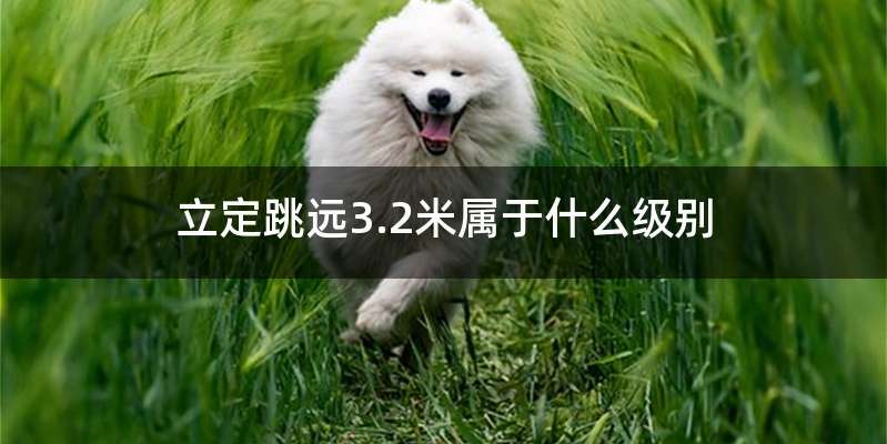 立定跳远3.2米属于什么级别