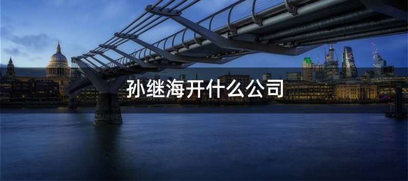 孙继海开什么公司