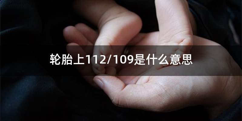 轮胎上112/109是什么意思