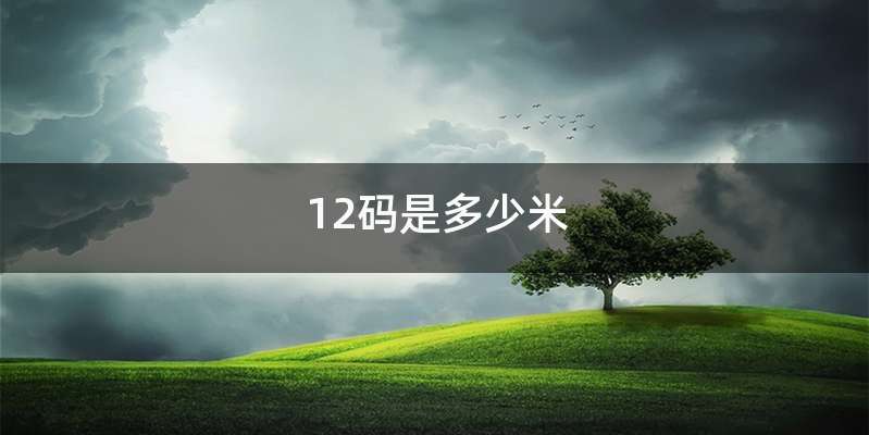 12码是多少米