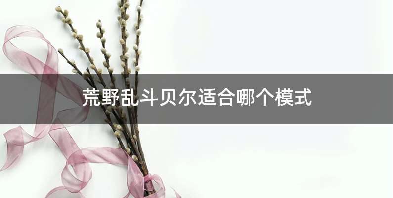 荒野乱斗贝尔适合哪个模式