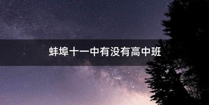 蚌埠十一中有没有高中班
